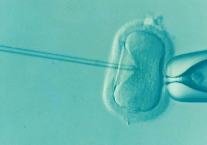 Elena Έλενα Kontogianni Κοντογιάννη/Pixabay 