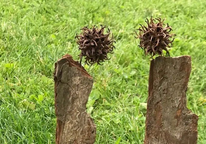 Stage Couple Imago - Créer et cultiver un lien épanouissant