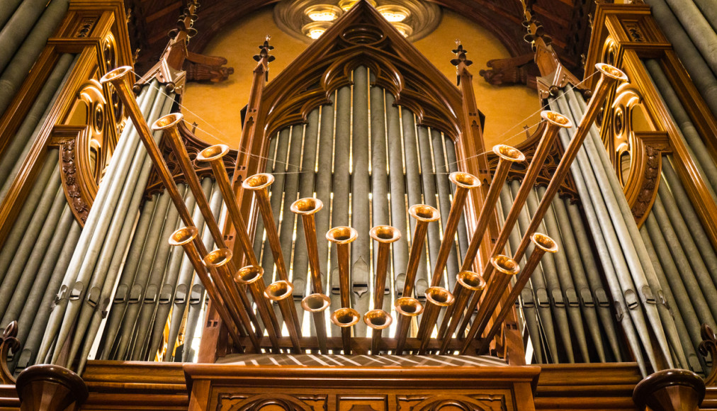 L&#039;orgue, un instrument indétrônable? / ©iStock