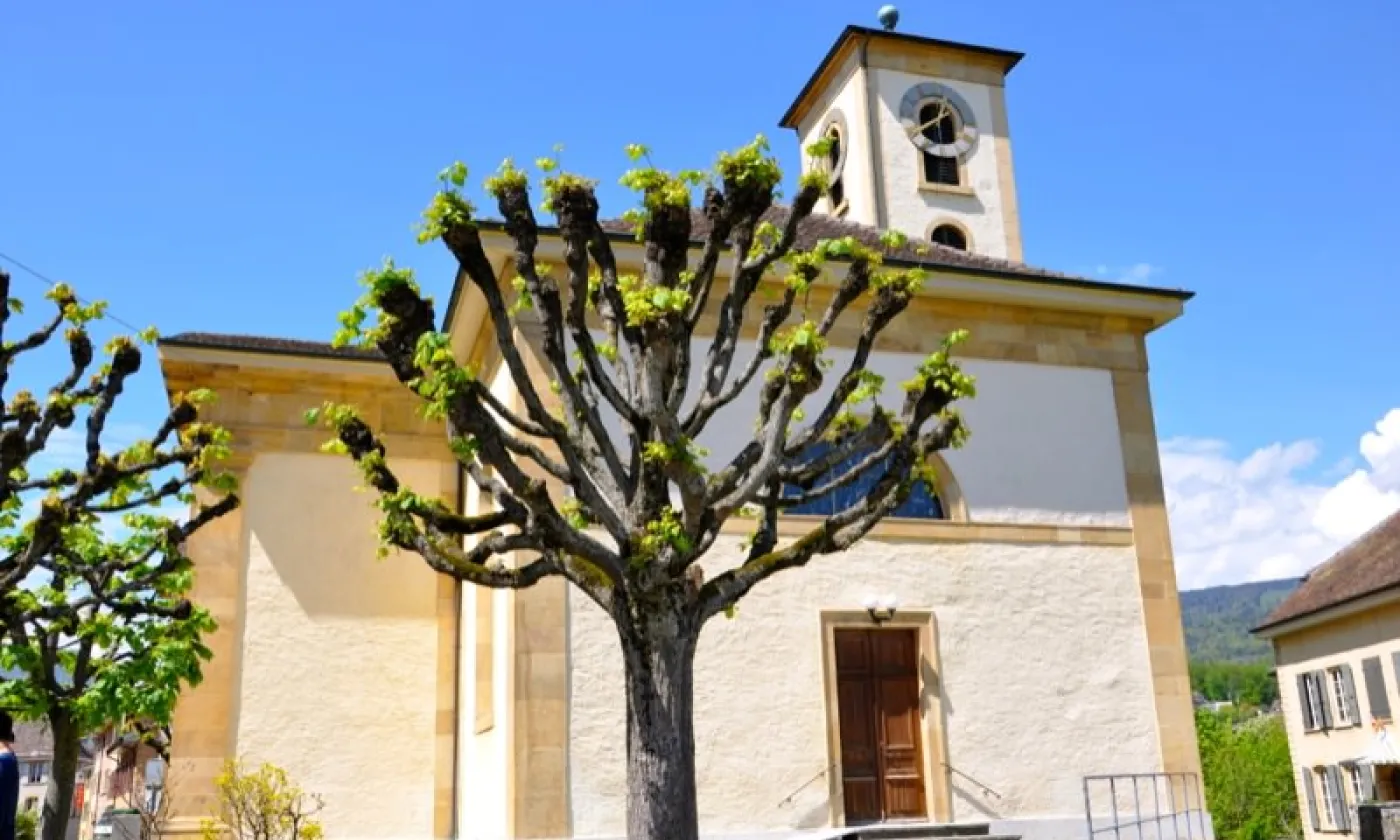 Alexandra Urfer Jungen