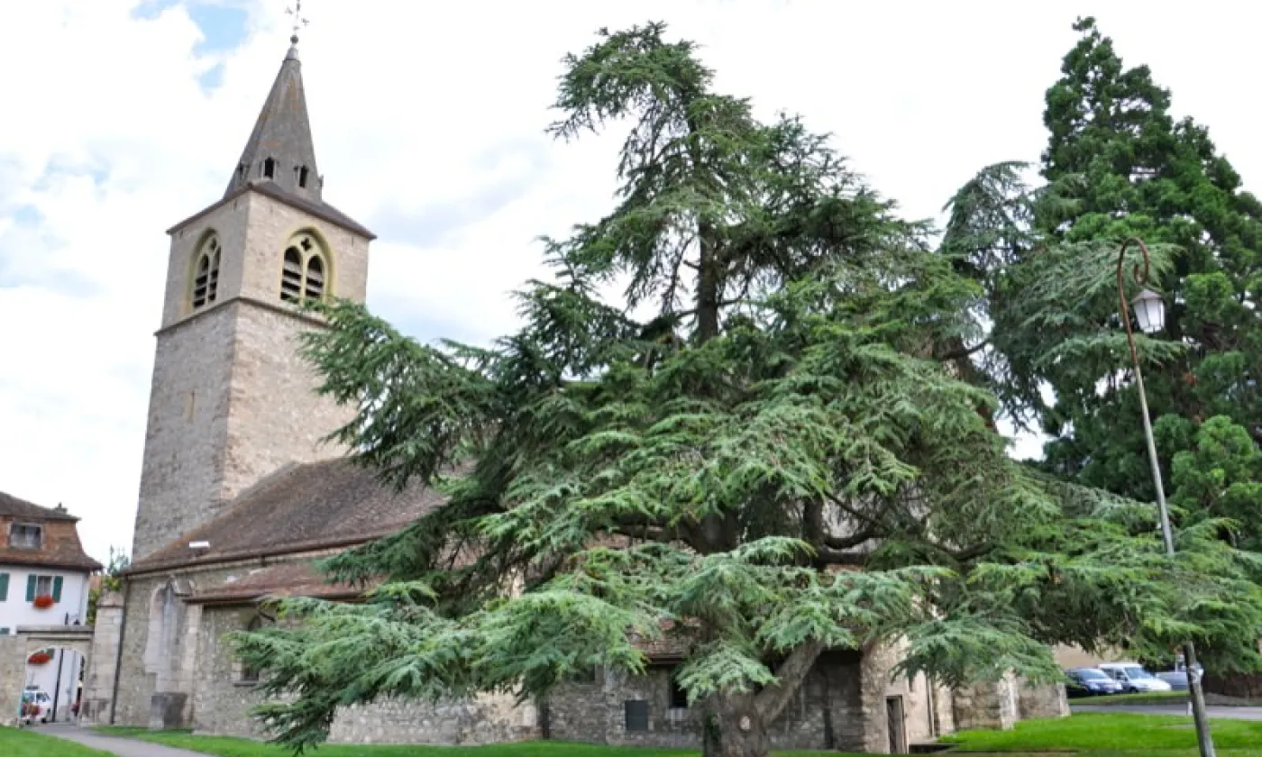 Alexandra Urfer Jungen