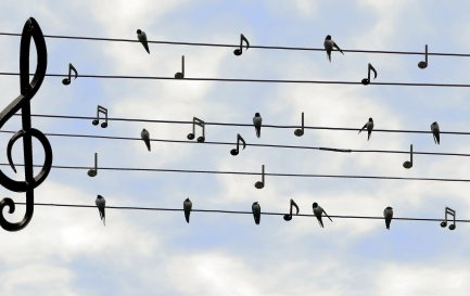 Le chant peut être méditation, lorsqu&#039;il vise l&#039;apaisement. / Pixabay